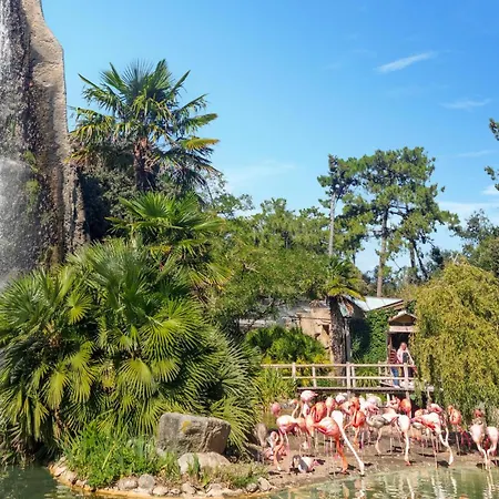 Lovely In With Wifi Royan