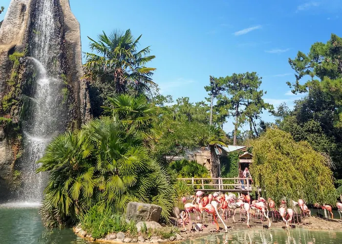 Lovely In With Wifi Руайян